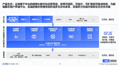 2023增長為王 消費者數(shù)字化逆向重構(gòu)消費企業(yè)信息系統(tǒng)集成服務(wù)